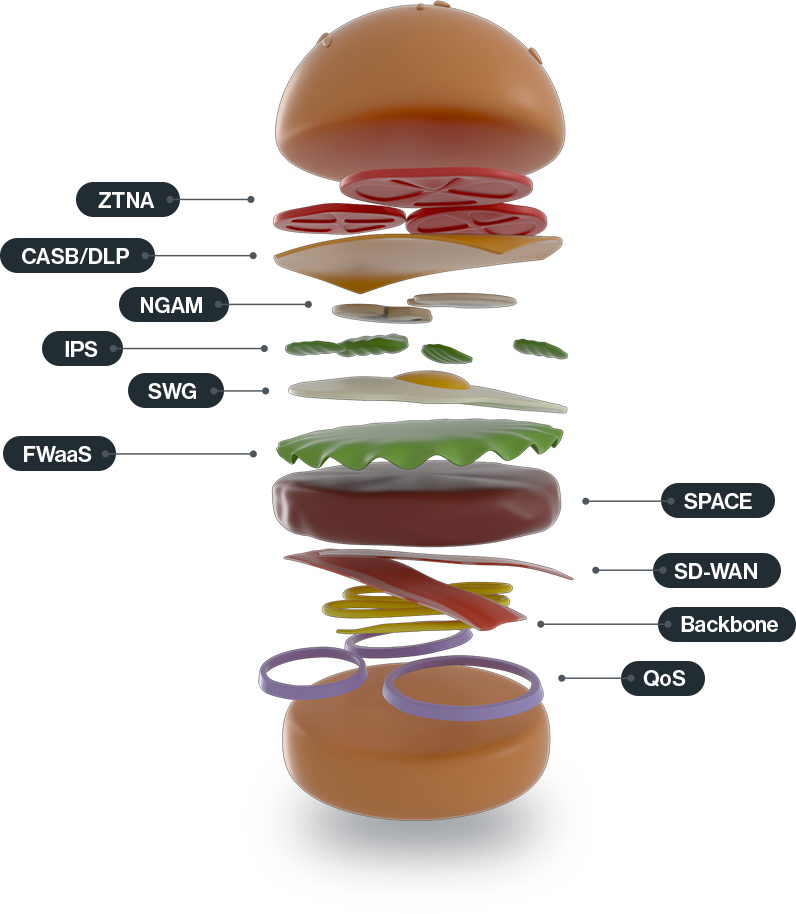 CATO NETWORKS