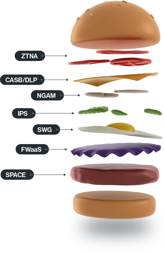 CATO NETWORKS